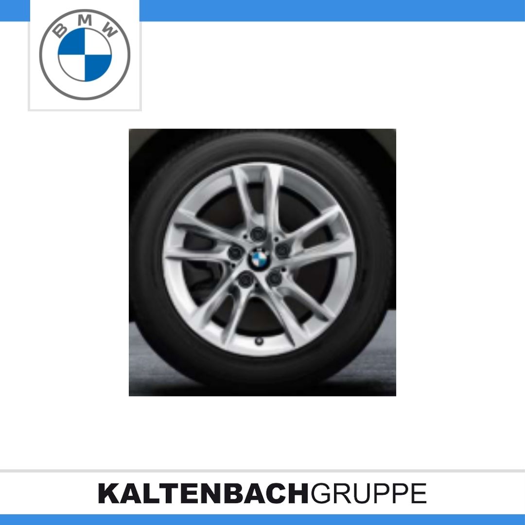 Doppelspeiche 474-2.jpg